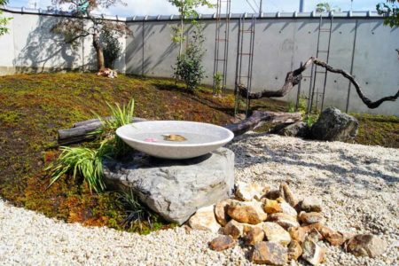 石鉢のある庭